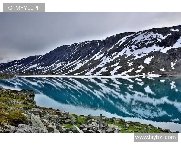 冰岛与挪威精彩对决视频回放分析及比赛亮点总结 冰岛与挪威精彩对决视频回放分析及比赛亮点总结