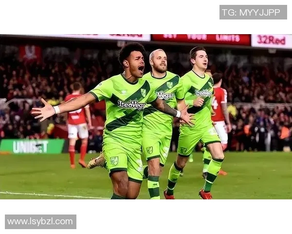 雷丁与伯明翰比赛前瞻分析及胜负预测推荐 雷丁与伯明翰比赛前瞻分析及胜负预测推荐