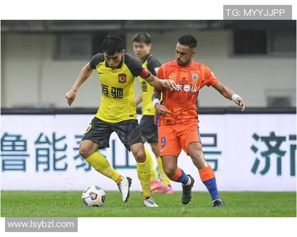 深圳排球队战术争议引发热议球迷与专家观点交锋解析