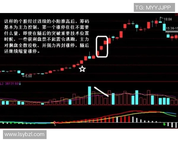 深度分析北京乒乓球队防反打法的战术特点与实战应用 深度分析北京乒乓球队防反打法的战术特点与实战应用
