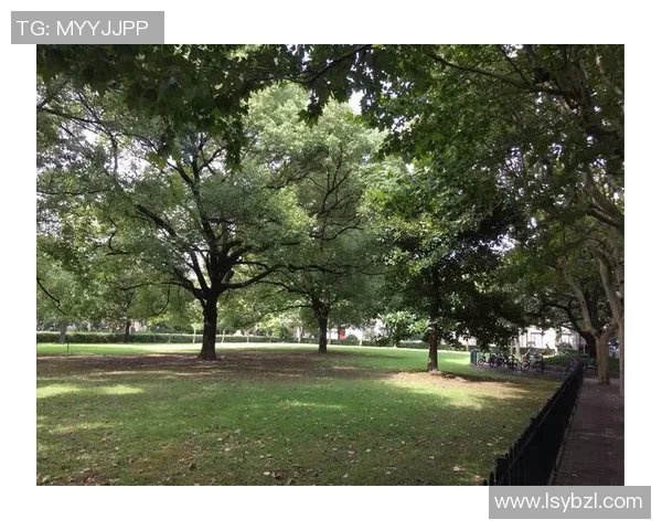 黄磊亲自分享网球技巧与心得体会助你提升球技的秘诀MBA