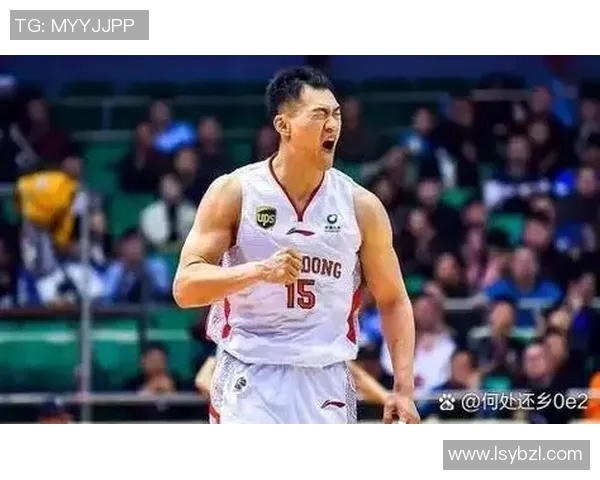 篮球明星有哪些值得关注的球员及他们的传奇故事与成就分析