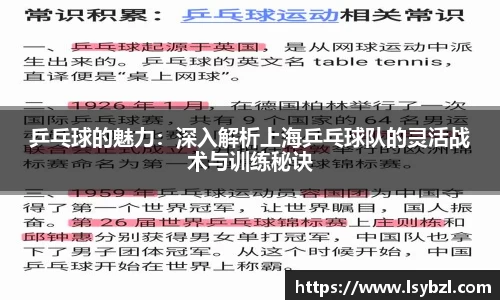 乒乓球的魅力：深入解析上海乒乓球队的灵活战术与训练秘诀